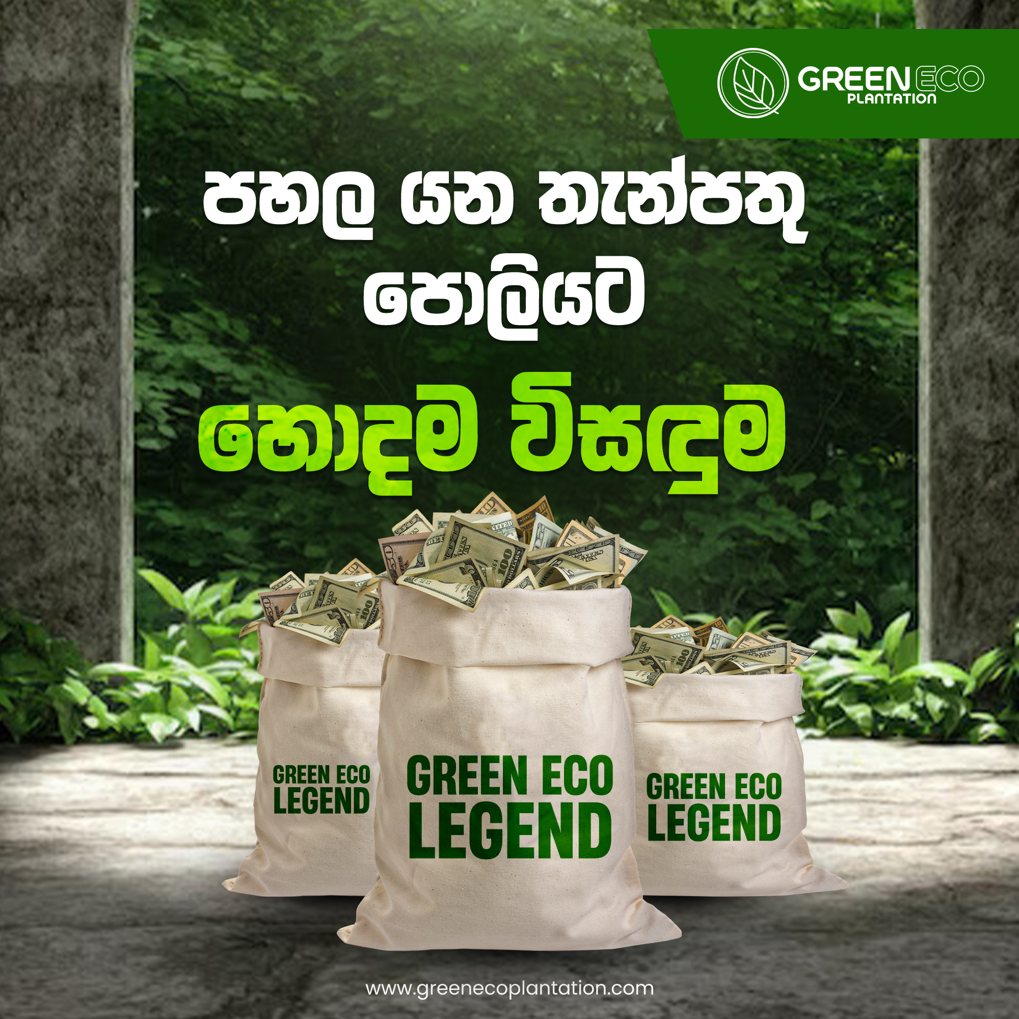 Corporate Company Website