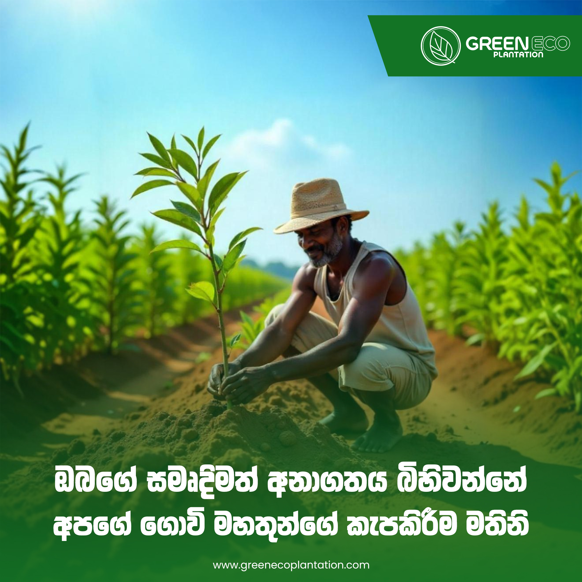 Influencer marketing campaign